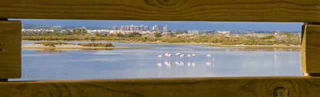 Tres rutas gratuitas para conocer el Parque Regional Salinas y Arenales de San Pedro - 1, Foto 1