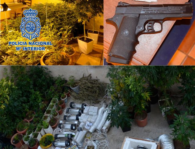 La Policía Nacional desmantela un cultivo indoor de marihuana en un paraje de Yecla - 1, Foto 1