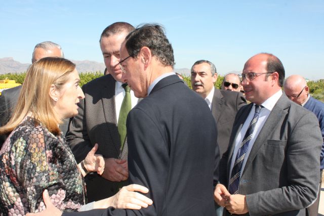 Fomento adjudica el proyecto de soterramiento integral del AVE e inicia las obras de la autovía que enlaza Zeneta y Beniaján - 1, Foto 1