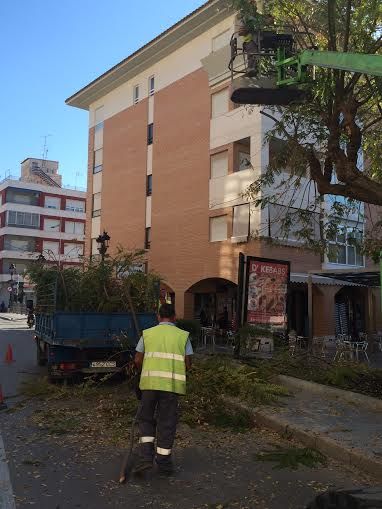 Acondicionan los parques y jardines por los itinerarios donde se celebrarán las procesiones y principales actos de la Semana Santa, Foto 2