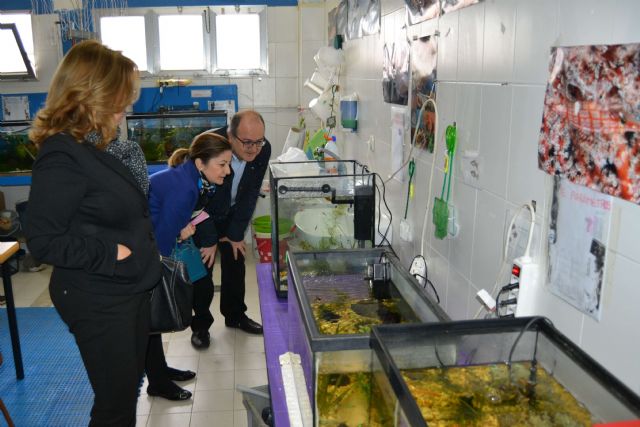 Educación mejora la ecoeficiencia del Colegio Nuestra Señora del Carmen - 1, Foto 1