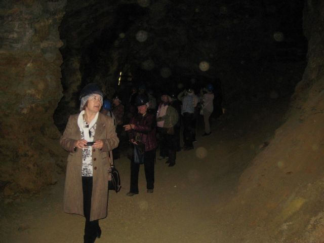 Los mayores continúan profundizando en Cartagena y su historia - 2, Foto 2