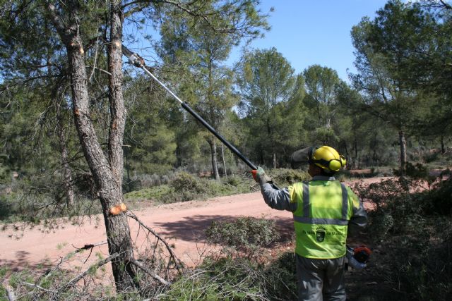 Medio Ambiente realiza limpieza y labores de prevención de incendios forestales en el Coto de las Maravillas - 1, Foto 1