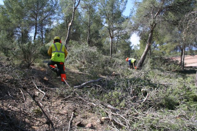 Medio Ambiente realiza limpieza y labores de prevención de incendios forestales en el Coto de las Maravillas - 2, Foto 2