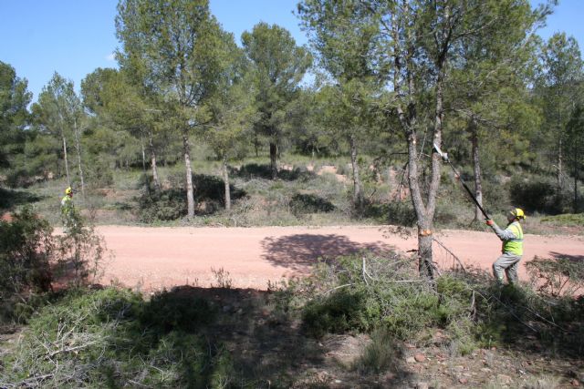 Medio Ambiente realiza limpieza y labores de prevención de incendios forestales en el Coto de las Maravillas - 3, Foto 3