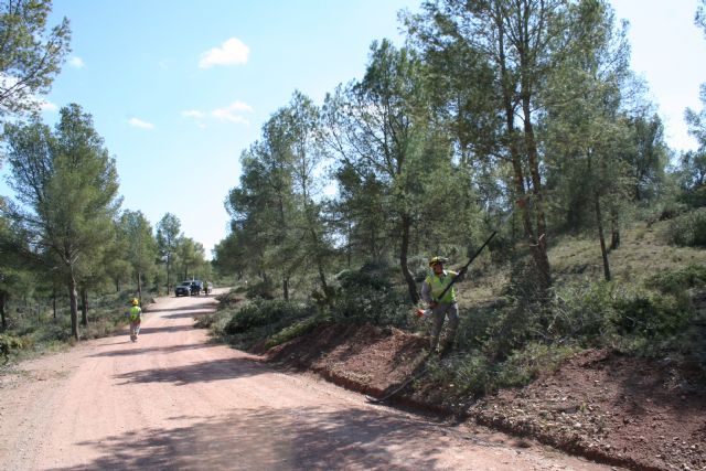 Medio Ambiente realiza limpieza y labores de prevención de incendios forestales en el Coto de las Maravillas - 4, Foto 4