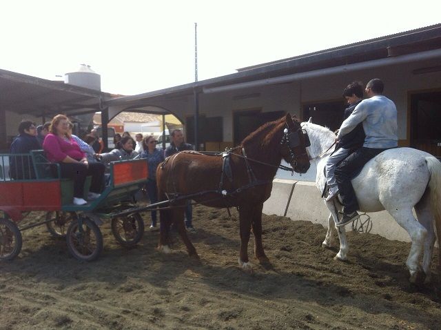 Los 80 usuarios de Apandis participan en el tratamiento de equinoterapia puesto en marcha por la Concejalía de Cultura del Ayuntamiento de Lorca - 1, Foto 1