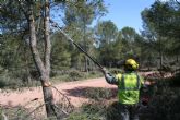 Medio Ambiente realiza limpieza y labores de prevención de incendios forestales en el Coto de las Maravillas