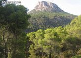 Medio Ambiente organiza actividades para escolares en Sierra Espuña y El Valle con motivo del D�a Internacional de los Bosques