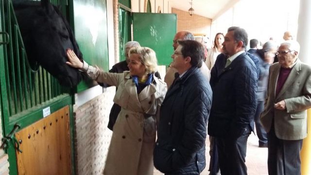 El Alcalde de Lorca y la Consejera de Agricultura visitan las instalaciones del Centro de Inseminación Equina con motivo de la parada de sementales - 1, Foto 1