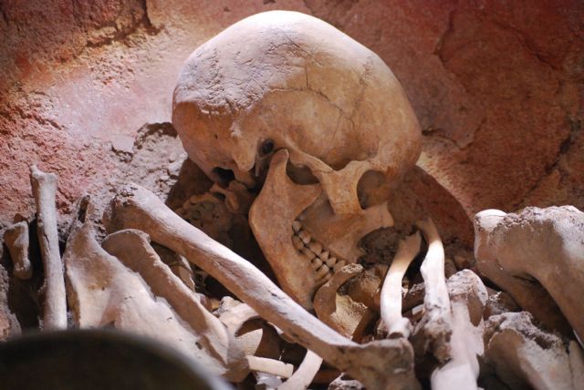 El Yacimiento Argárico de La Bastida abre sus puertas de manera oficial este sábado tras las obras de acondicionamiento del complejo - 1, Foto 1