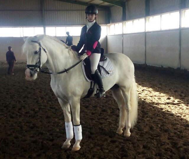 Success two totaneras in the territorial competition dressage 2015, held in Lorca, Foto 2