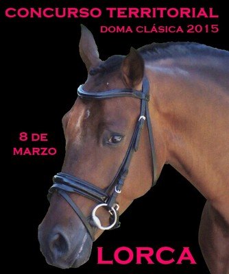 Success two totaneras in the territorial competition dressage 2015, held in Lorca, Foto 6
