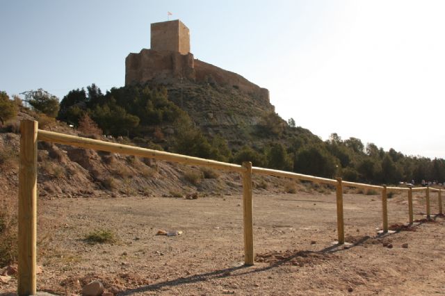 Finaliza con éxito la primera fase del proyecto Planta un árbol por Lorca - 1, Foto 1