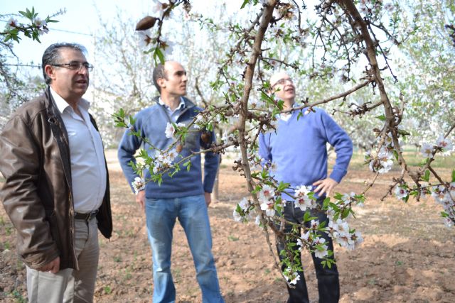 Investigadores de la UPCT desarrollan una plataforma para control remoto y supervisión a distancia del riego deficitario - 1, Foto 1
