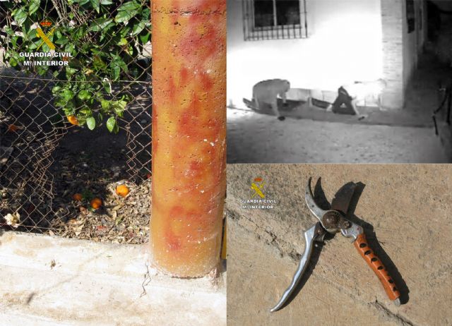 La Guardia Civil desmantela una banda juvenil dedicada a asaltar hogares de Murcia - 2, Foto 2