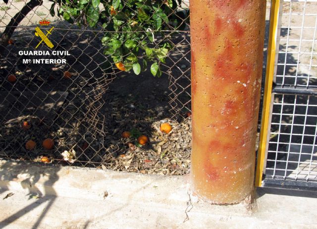 La Guardia Civil desmantela una banda juvenil dedicada a asaltar hogares de Murcia - 3, Foto 3