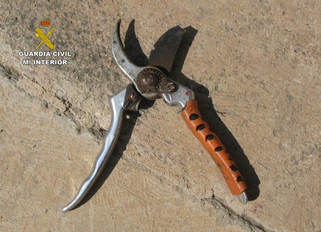 La Guardia Civil desmantela una banda juvenil dedicada a asaltar hogares de Murcia - 4, Foto 4