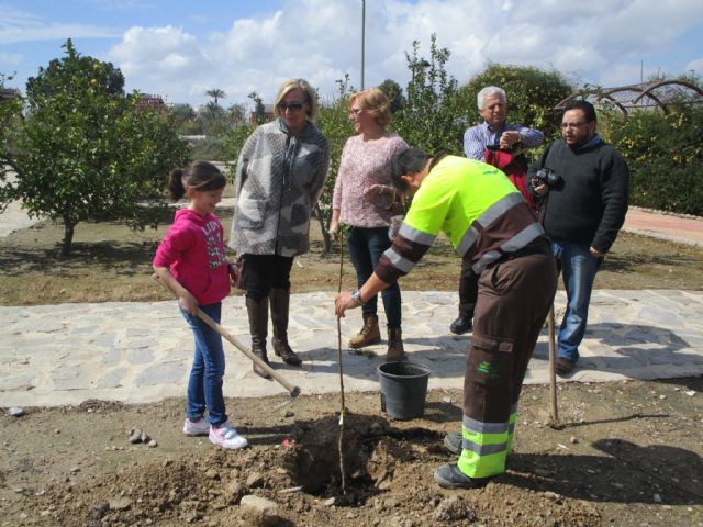 La iniciativa Jardinería Ocupa llega a El Castellar de Churra con la plantación de 36 árboles frutales - 4, Foto 4