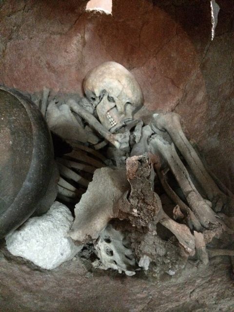 Continúan las visitas guiadas gratuitas al Yacimiento Argárico de La Bastida que se realizan todos los fines de semana - 3, Foto 3