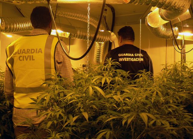La Guardia Civil desmantela una sofisticada plantación de marihuana instalada en un edificio embargado en Murcia - 2, Foto 2