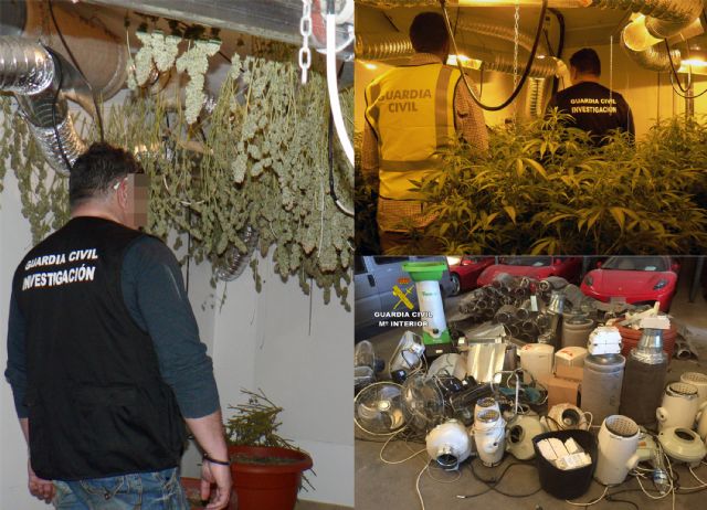 La Guardia Civil desmantela una sofisticada plantación de marihuana instalada en un edificio embargado en Murcia - 4, Foto 4