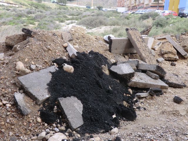 IU-Verdes denuncia nuevos vertidos incontrolados en los terrenos aledaños a La Ermita - 1, Foto 1