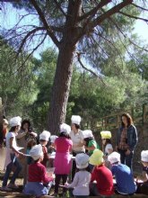 Medio Ambiente organiza actividades el fin de semana en el Parque Regional El Valle con motivo del Día Internacional de los Bosques