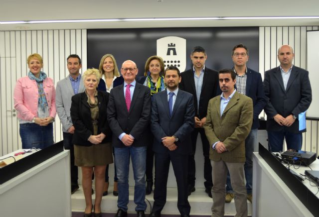 El nuevo servicio del alumbrado público ahorrará hasta un 45% en consumo energético al Ayuntamiento torreño - 3, Foto 3