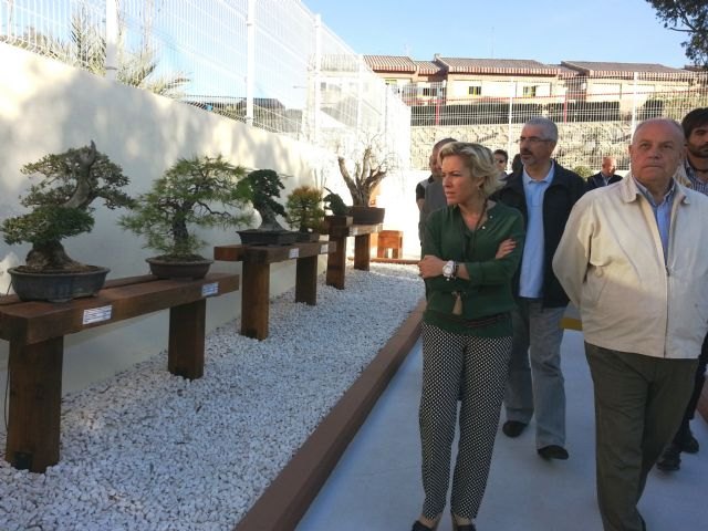 El CIFEA de Molina acoge una exposición permanente de bonsáis realizada por los alumnos de los cursos de jardinería - 1, Foto 1