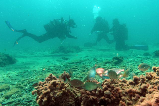 Ayuntamiento y Columbares divulgarán el valor ecológico de la reserva Cabo de Palos e Islas Hormigas - 3, Foto 3
