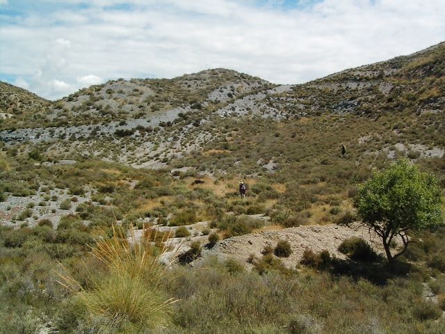 Voluntarios de toda España participan en el Proyecto Testudo de seguimiento de la tortuga mora en Puerto Lumbreras - 2, Foto 2