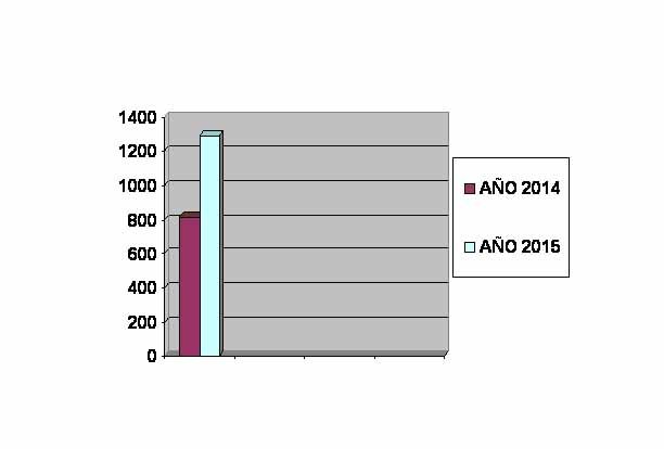 La Oficina de Turismo de Caravaca registra en Semana Santa un aumento de casi el 60% con respecto al año anterior - 2, Foto 2