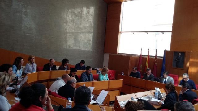 El Pleno Municipal aprueba una modificación presupuestaria para destinar 400.000 € al arreglo de caminos en pedanías - 1, Foto 1
