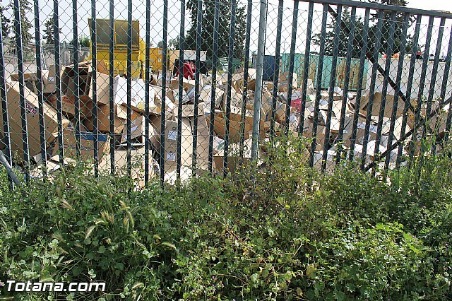 Gertrudis Ruiz: El Partido Socialista acometerá al llegar al gobierno acciones activas para que Totana sea un referente en gestión medio ambiental, Foto 3