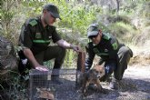 Los Agentes Medioambientales realizaron m�s de 35.000 actuaciones de protecci�n y conservaci�n de la naturaleza en 2014