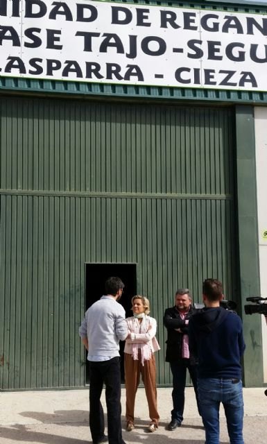 Martínez-Cachá alaba la óptima gestión del agua de los regantes del trasvase Tajo-Segura de Calasparra - 2, Foto 2