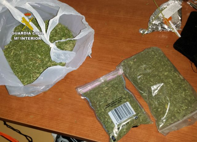 La Guardia Civil desmantela en Mula un punto de cultivo y venta de marihuana en un domicilio - 1, Foto 1