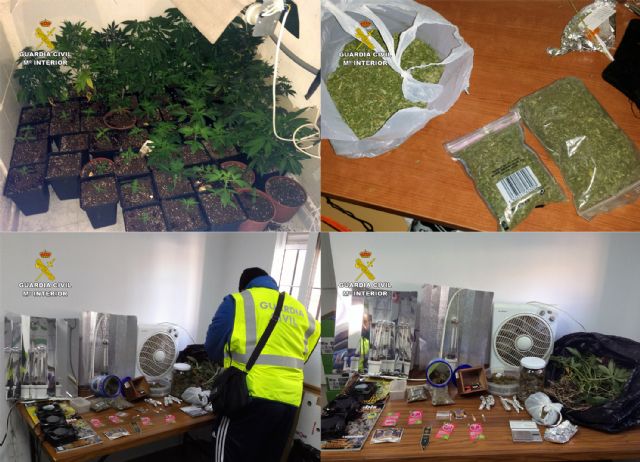 La Guardia Civil desmantela en Mula un punto de cultivo y venta de marihuana en un domicilio - 4, Foto 4