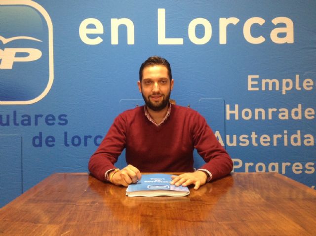 9 representantes sociales y el alcalde Paco Jódar presentan mañana el libro blanco del PP - 1, Foto 1