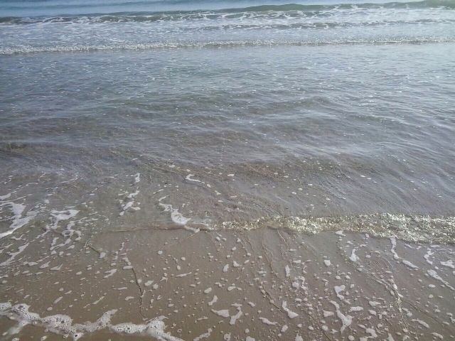 Las playas de La Manga ya están limpias de medusas - 5, Foto 5