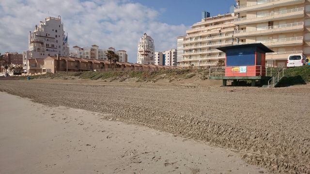 Los servicios municipales de playas retiraron esta mañana los centenares de medusas arrastradas por el viento a playas de La Manga - 2, Foto 2