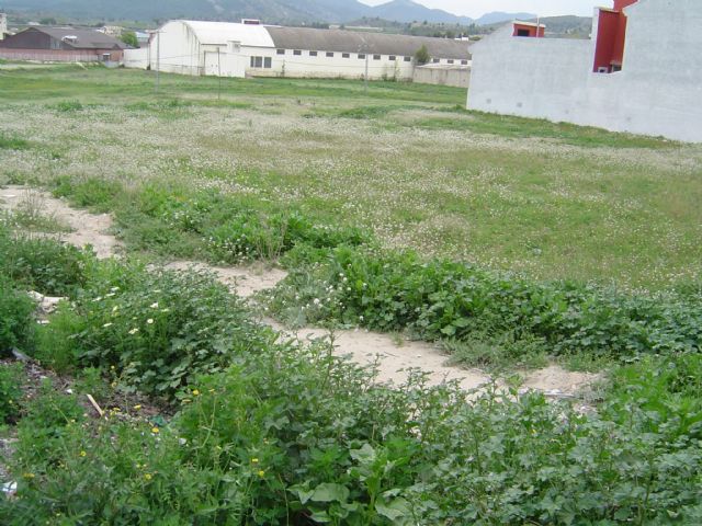 El Ayuntamiento recuerda la obligación a los propietarios de solares de mantenerlos limpios y vallados - 2, Foto 2