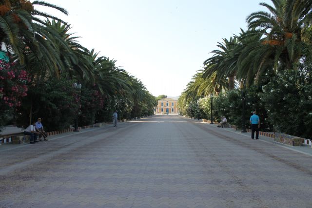 La Concejalía de Jardines inicia tratamiento de esta temporada contra el Picudo Rojo - 1, Foto 1