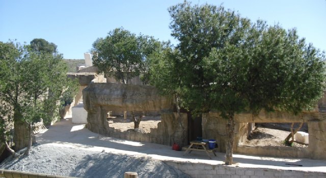 Terra Natura Murcia construye una nueva zona ambientada en el ecosistema del río Congo - 1, Foto 1