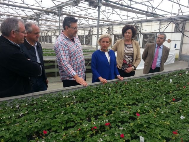 La consejera de Agricultura afirma que la investigación en nuevas variedades de flores promueve el sector regional - 1, Foto 1