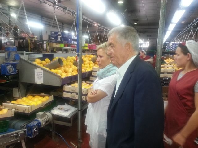 Martínez-Cachá resalta la capacidad productiva y exportadora de los agricultores de Mula - 1, Foto 1