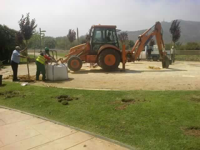 El Ãrbol de la Vida, un homenaje a los fallecidos por cáncer - 3, Foto 3