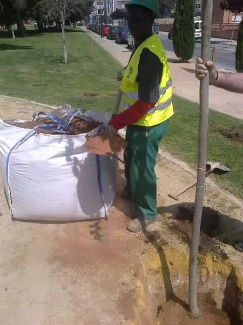 El Ãrbol de la Vida, un homenaje a los fallecidos por cáncer - 4, Foto 4