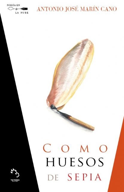 Cultura lanza una nueva colección de libros electrónicos para difundir la obra de los jóvenes poetas de la Región - 1, Foto 1